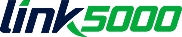 logo link5000